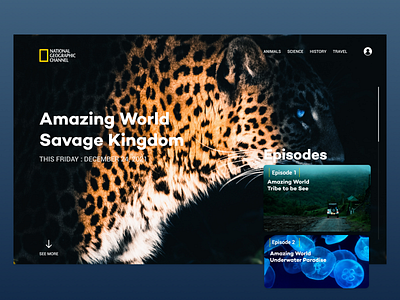 Nationa Geopgraphic Channel | Landing Page graphic design landing page natgeo national geographic channel national geographic web design ui web design website wildlife