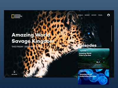 Nationa Geopgraphic Channel | Landing Page