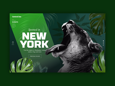 Zoo Concept - Landing Page figma landing page ui ui design uiux web design