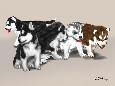 iPad Art: Husky Puppies