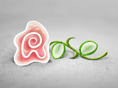 Rose illustration rose typography vector