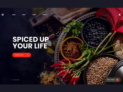 Spice Of Life dark ui uidesign web design