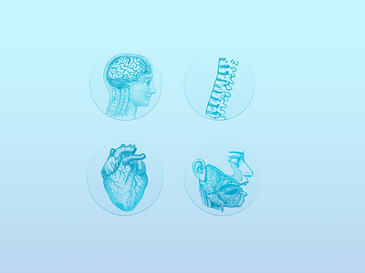 Icons for healthcare client