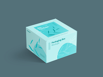 Mailer box packaging mockup 6b