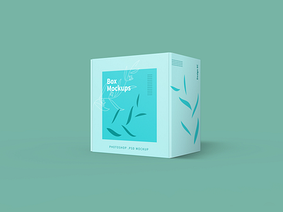 Mailer Box Packaging Mockup 6c