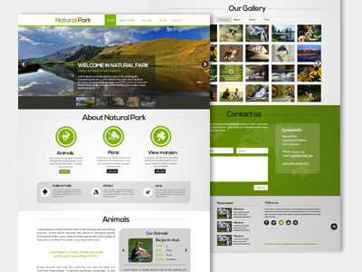 Nature Website