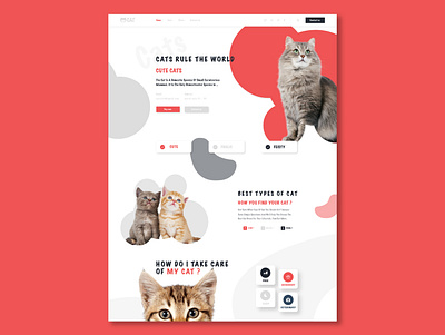 Cats WebDesign animal app design cats creative design designer graphicdesign ui uidesign uiux uiwebdesign ux web web design webdesign website website design xd design