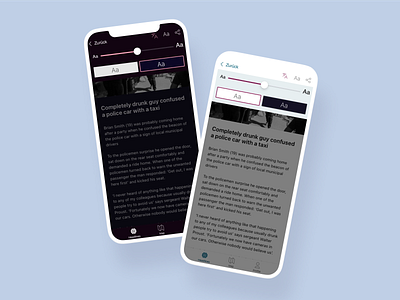 Font Size & Color Article Settings - News App UI