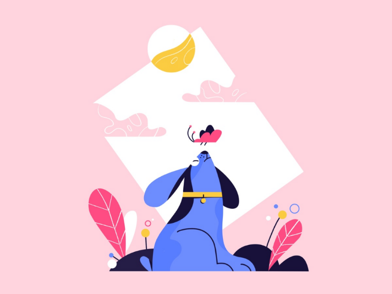 Doggo illustration blue pink animals doggo dog illustration character design illustration