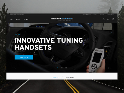 DreamScience ecommerce automotive car ecommerce hero web design website design woocommerce