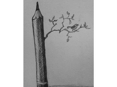 Bird art artist dibujo dibujos draw drawing pencil sketch
