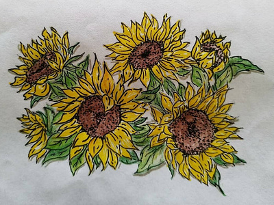 Img 20190517 124803 490 design illustration pencil drawing sun sunflowers typography yellow