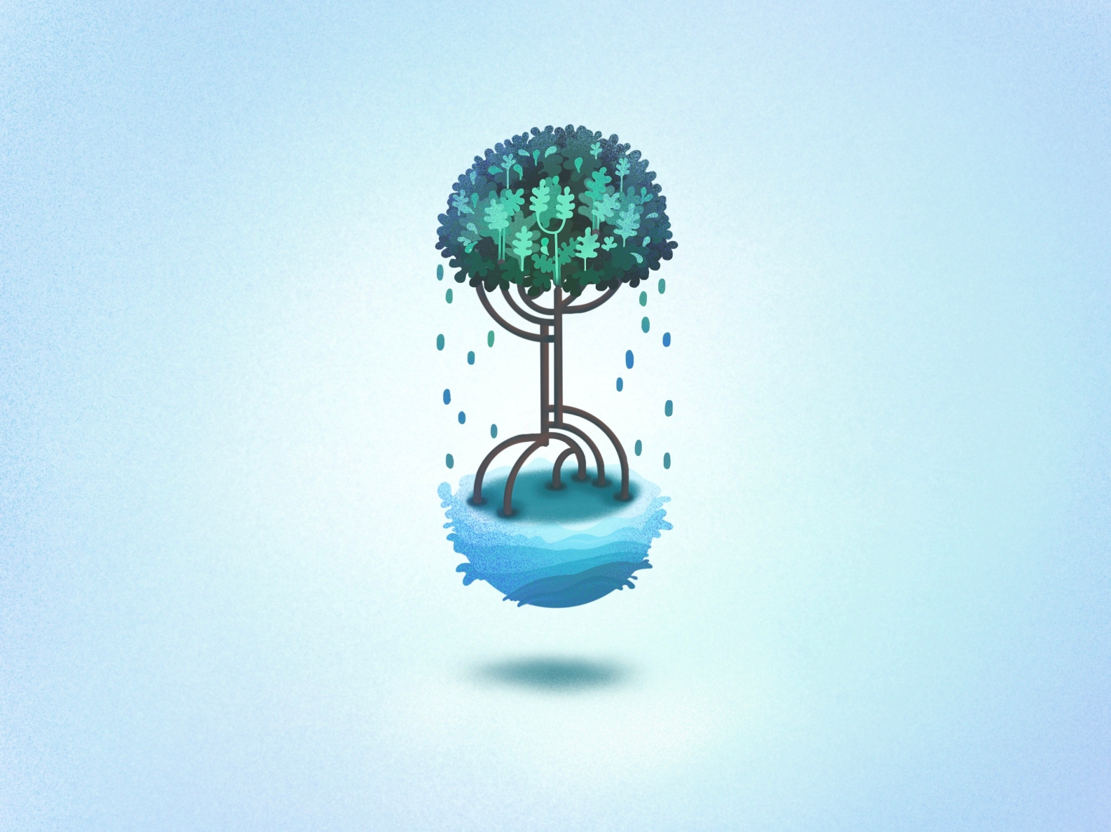 Mangroves Illustration Editorial Image by Stefanie Kraut on Dribbble