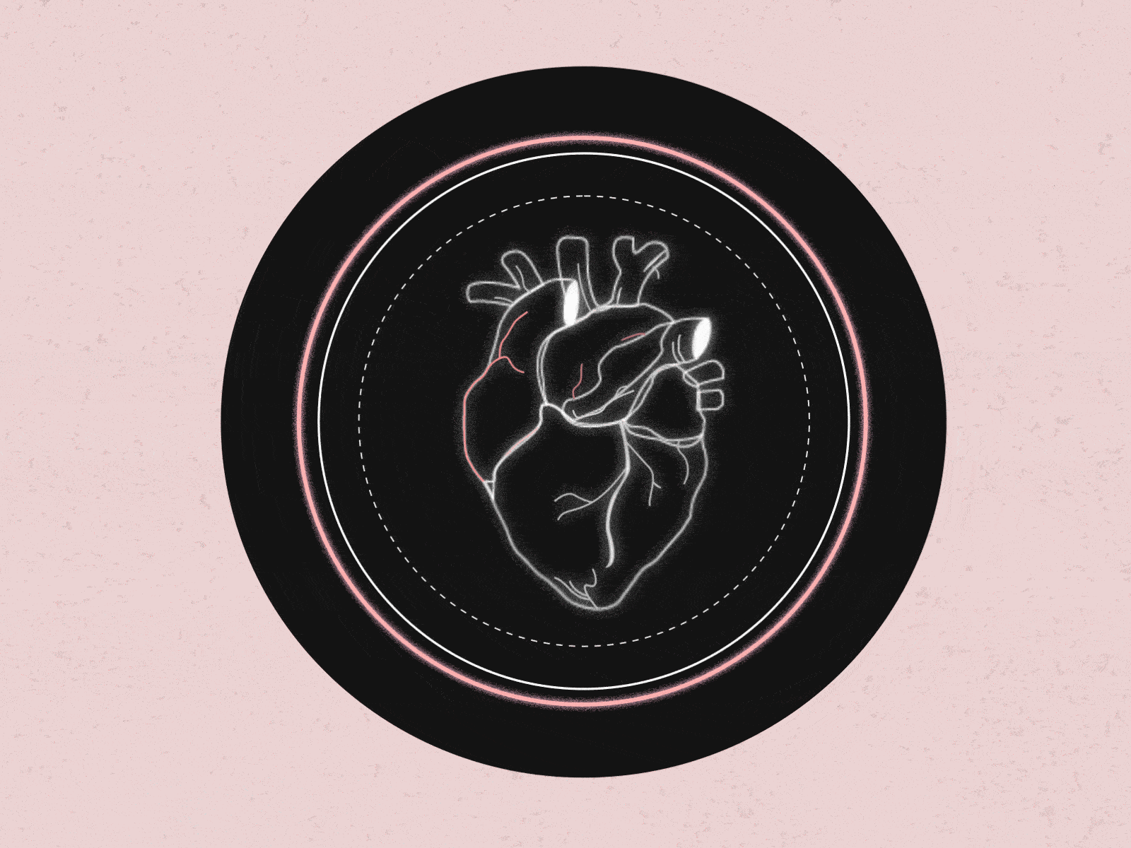 Heartbeat 2d aftereffects animation art design gif heart heartbeat illustration motion design