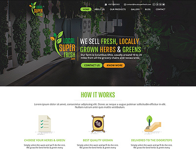 Local Super Fresh Homepage Design webdesign