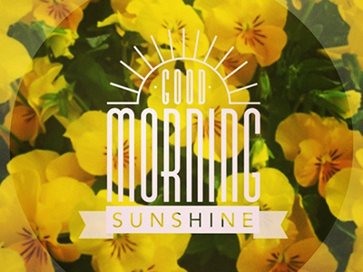 Good Morning Sunshine circle good mask morning photofyapp summer sun sunshine type typography