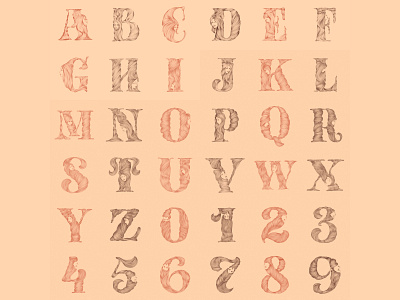 36DaysOfType08 36daysoftype challenge handlettering illustration lettering lettering challenge letters type typography
