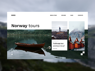 Norway tours landing page daily ui daily ui 003 dailyui dailyuichallenge flat inspiration landing page minimal minimalism minimalist norway tour ui uidesign ux web web design webdesign website website design