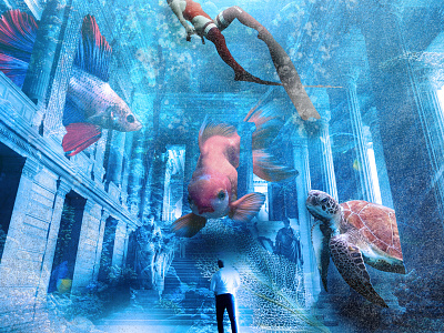 seaworld adobe adobe photoshop graphic graphic design graphic art graphic design sea underwater