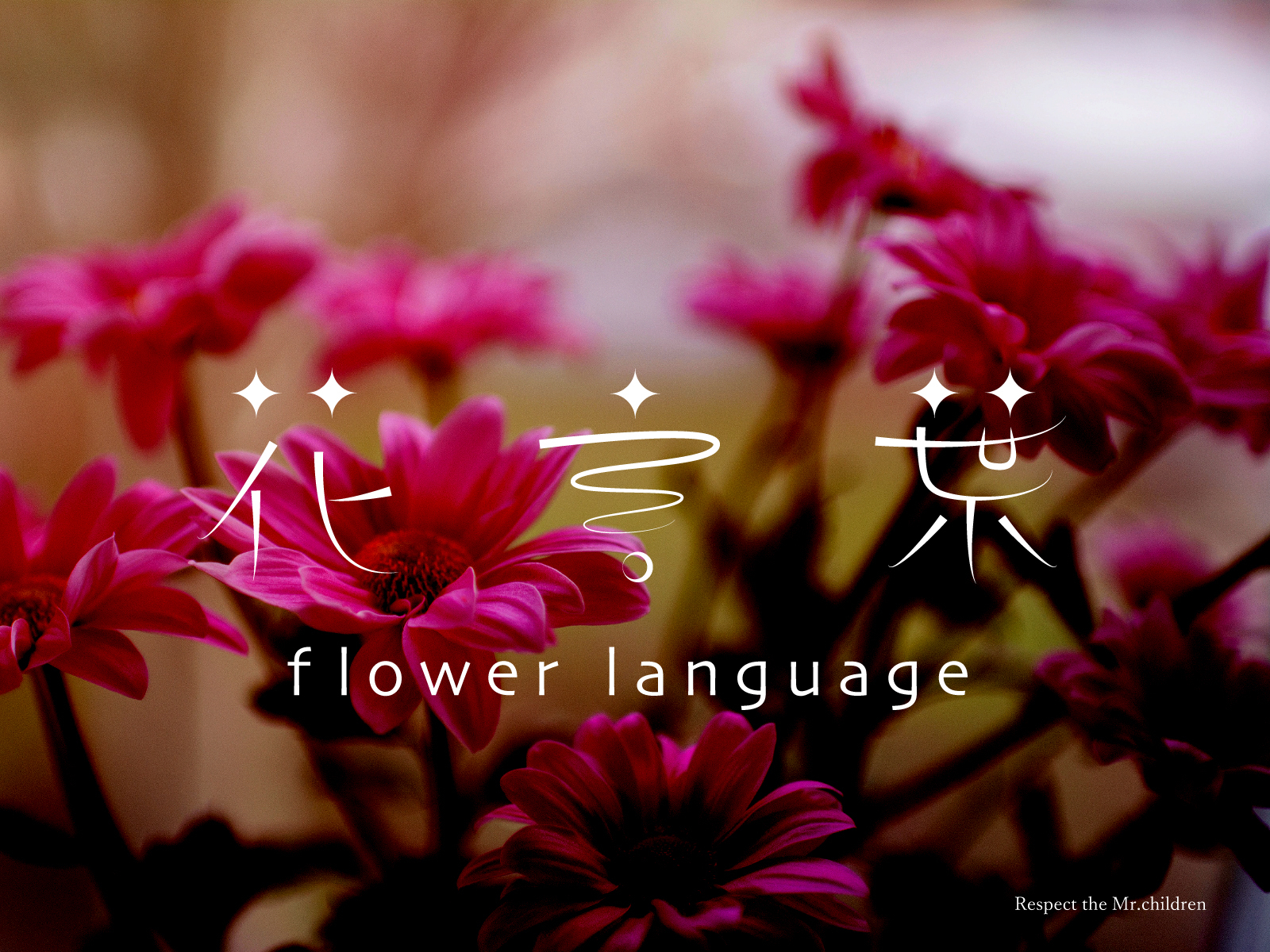 Mr Children 花言葉 Flower Language By Mitsuru Terasaki On Dribbble