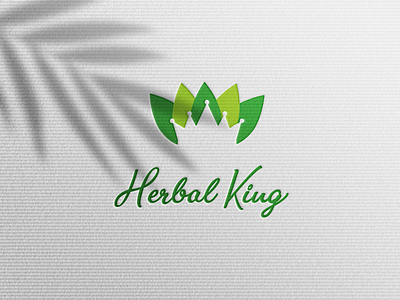 harbal king branding clean logo colorfullogo creative design graphic design logo minimalist logo modern logo typography