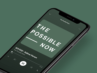 The Possible Now Podcast – Cover Art