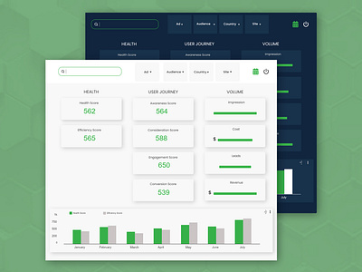 DSaaS for Digital Marketing Analytics Dashboard