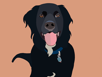 Pet Illustration design flat illustration procreate