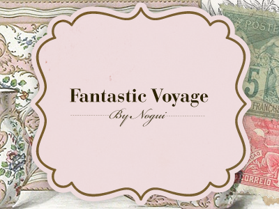 Fantastic Voyage blog frame header label pink retro vintage web