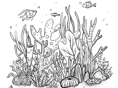 Coral Sketch by Lucy Rogers on Dribbble
