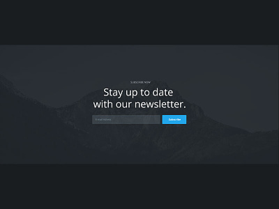 Newsletter Section newsletter section subscribe ui