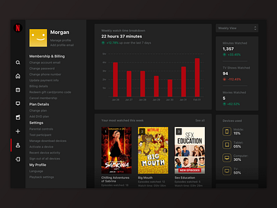 Netflix Account/Analytics Page