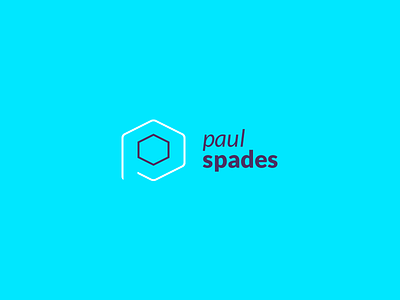 my logotype for 2014 blue flat line logo minimal paulspades