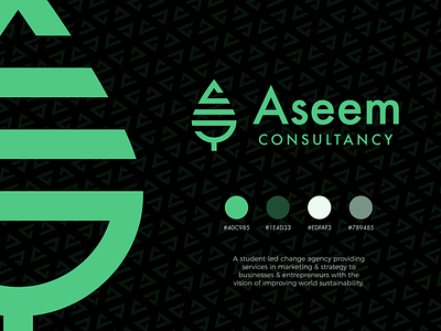 Aseem Consultancy Logo