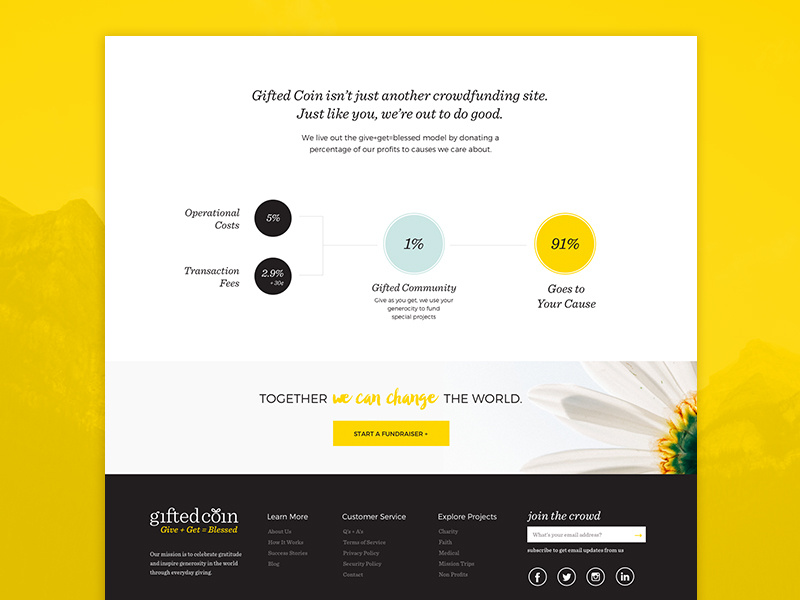Gifted Coin - Crowd Funding inforgraphic sketch app crowd funding webdesign website