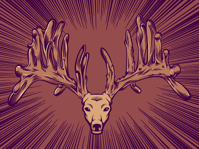 Deer Illustration