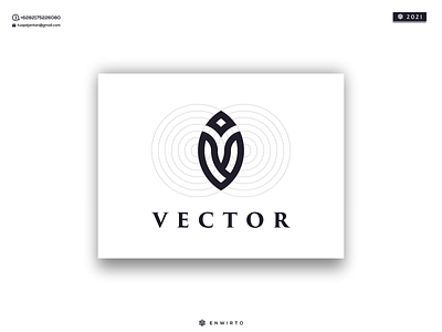 Letter V Concept Logo