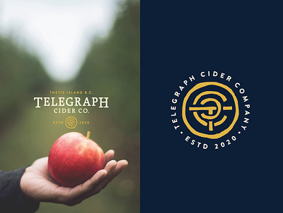 Logo - Telegraph Cider Co. apple branding cider gold logo monogram navy blue typogaphy