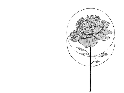 Peony design drawing flower geometric art geometric design grayscale illustration pencil peony