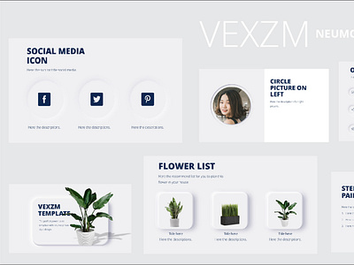 VEXZM NEUMORPH TEMPLATE POWER POINT