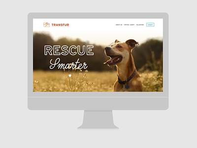 Transfur.org columbia sc createathon dog rescue dogs heart transfur web design website