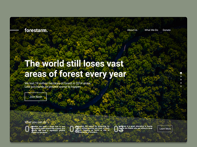 Forest (NGO) website design ui ux web web design webdesign