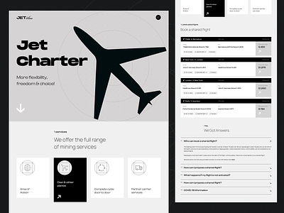 Jet Chapter aircraft booking clean design faq fly jet landing landing pages services site ticket ticket booking ui ux web web design