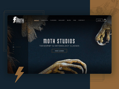 Moth Studios bold dark design gold gothic homepage taxidermy webdesign