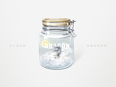瓶中云龙 bottle cloud design dragon illustration vision