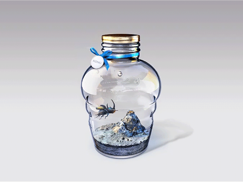 瓶中王甲 beetle bottle design illustration vision volcano