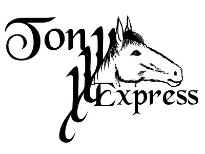 Tony Express branding design illustration logo typography vector