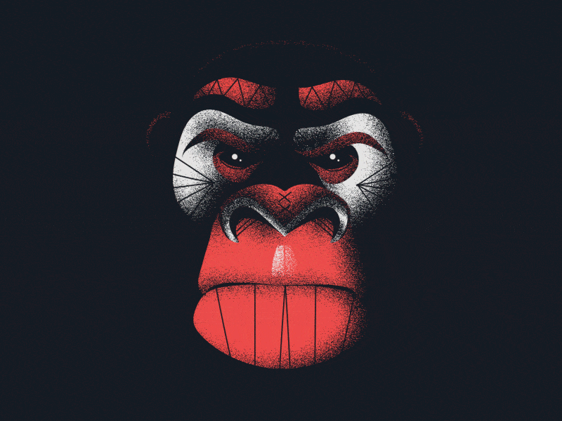 Angry gorilla alpes maritimes anger angry animation antibes emotion expression facial french riviera gorilla grain graphic design hate illustration monkey motion motion design motion graphics nice what are you looking at