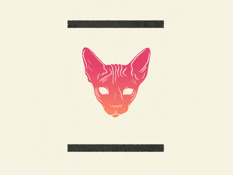Motiontober Day 13 // Twin alpes maritimes animated animation antibes cat division frame by frame french riviera fusion illustration inktober merge morphing motion design motion graphics motiontober nice sphynx twin twins