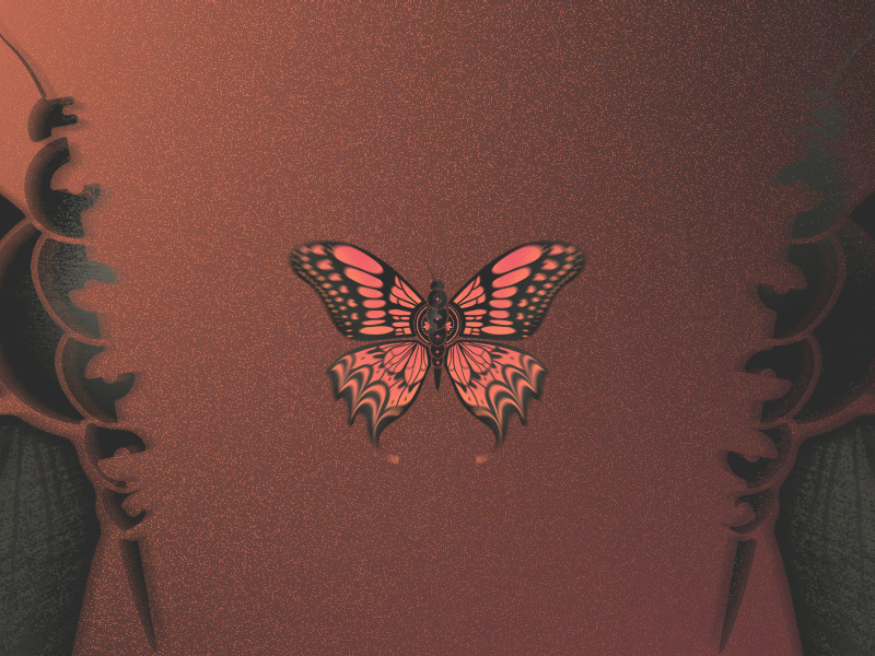 Motiontober Day 31 // Plug animation butterflies butterfly dezoom frame by frame graphic design illustration inktober insect insects light loop motion design motion graphics motiontober october organic plug switch on vjing